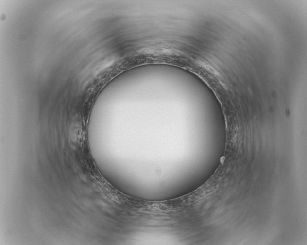 X0000089420966200706291029