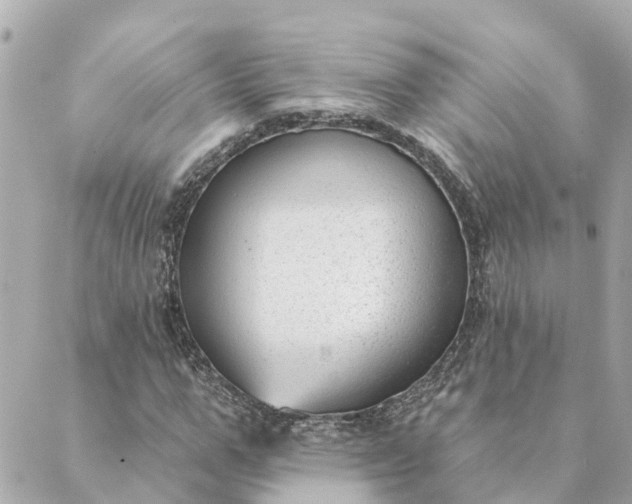 X0000089420967200706291029