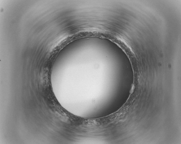 X0000089420968200706291029