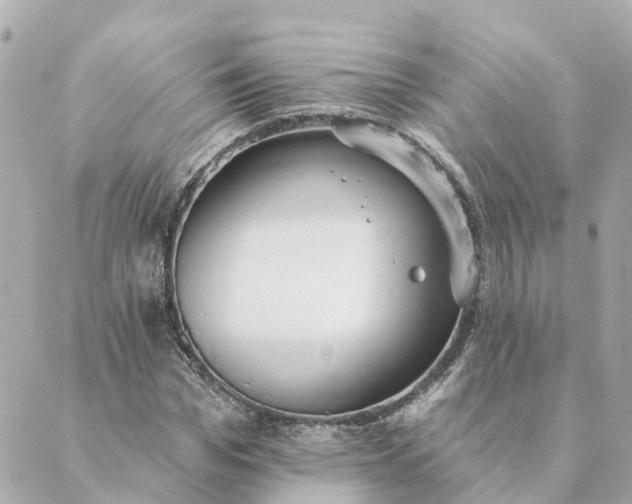 X0000089420969200706291029