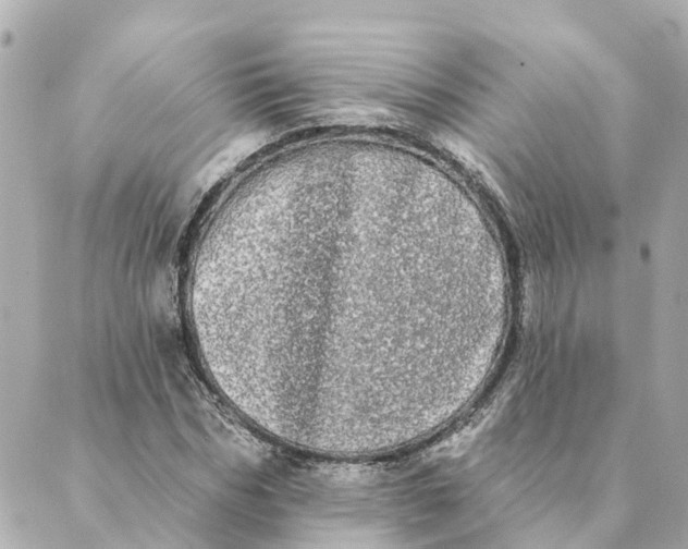 X0000089420970200706291029