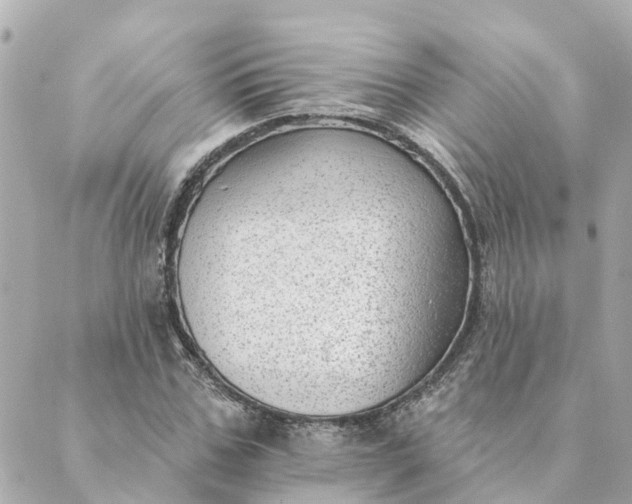 X0000089420971200706291029