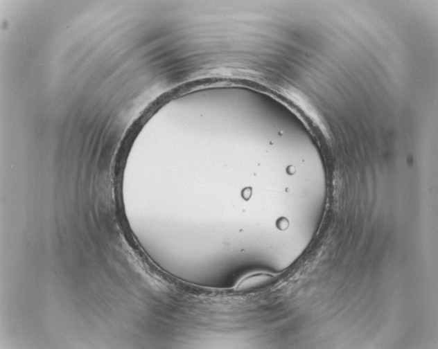 X0000089420972200706291029