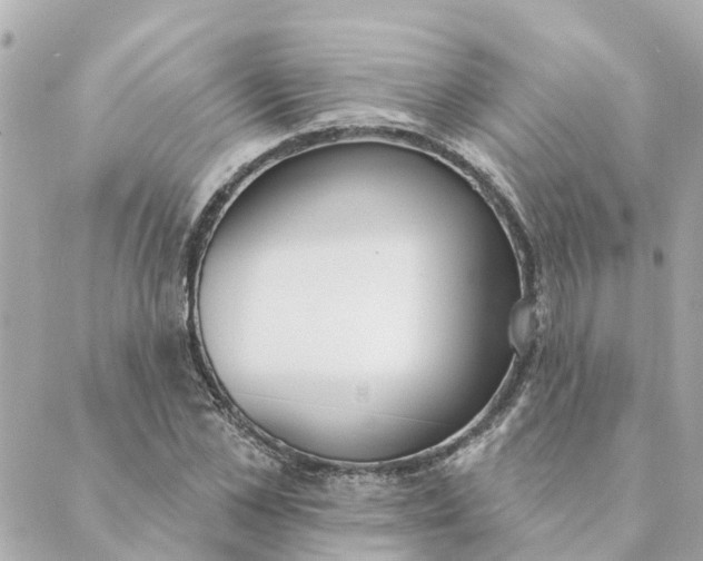 X0000089420973200706291029