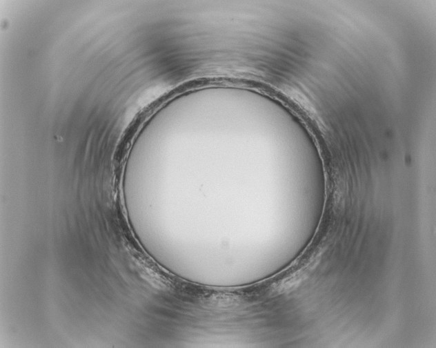 X0000089420974200706291029