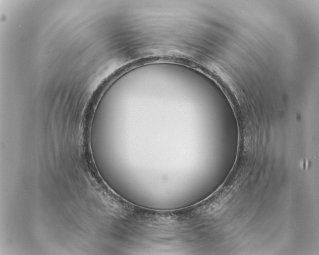 X0000089420975200706291029