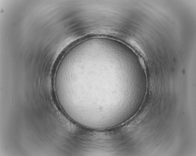 X0000089420976200706291029