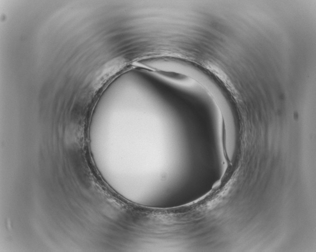 X0000089420977200706291028