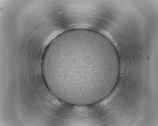 X0000089420978200706291028