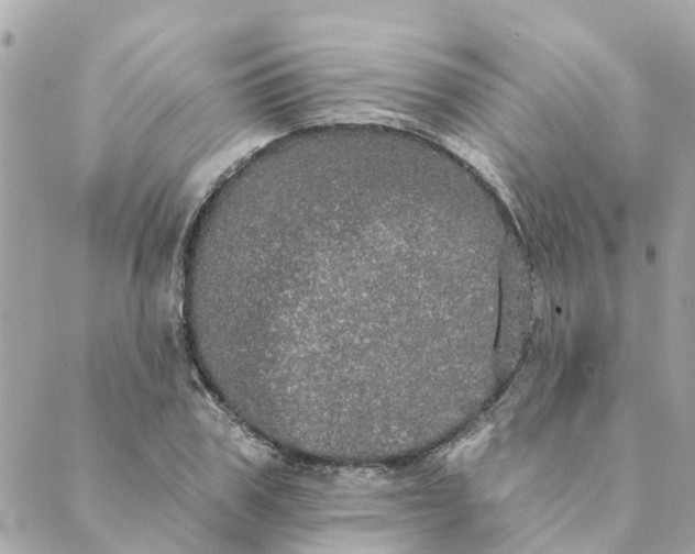 X0000089420979200706291028