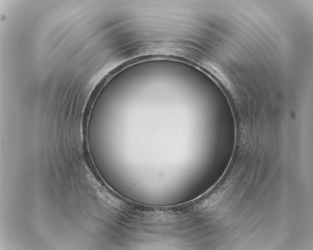 X0000089420980200706291028