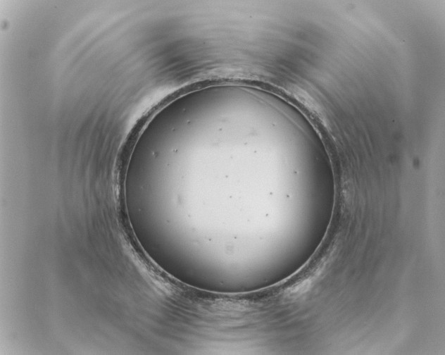 X0000089420981200706291028