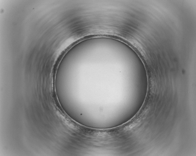 X0000089420982200706291028