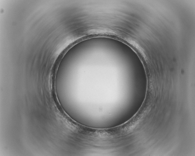 X0000089420983200706291028