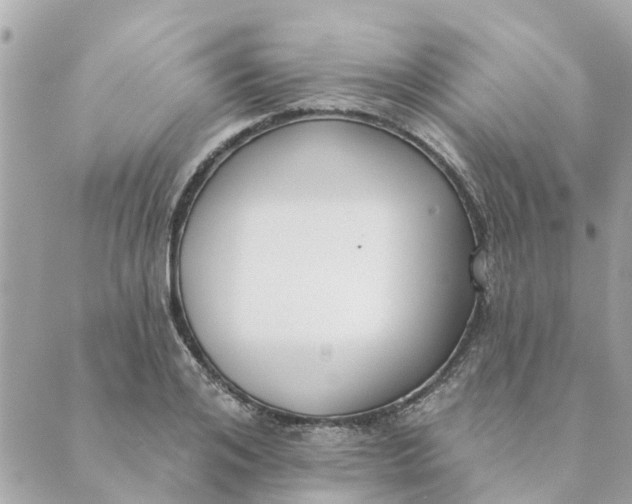 X0000089420984200706291028