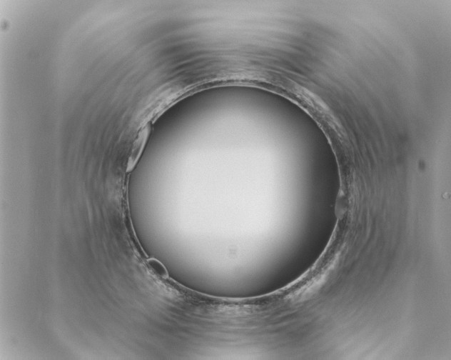 X0000089420985200706291028