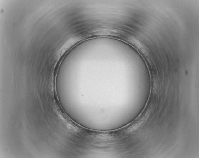 X0000089420986200706291028