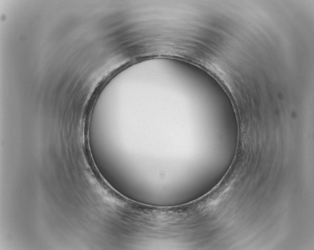 X0000089420987200706291028