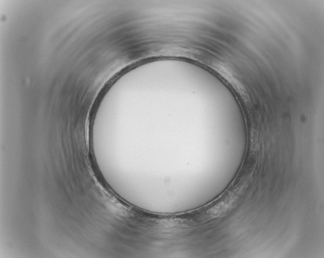 X0000089420988200706291028