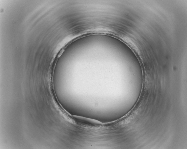 X0000089420989200706291028