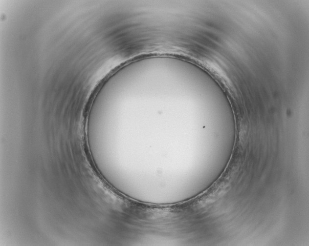 X0000089420990200706291028