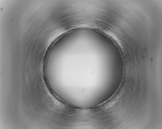 X0000089420991200706291028