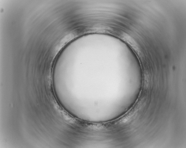 X0000089420994200706291028