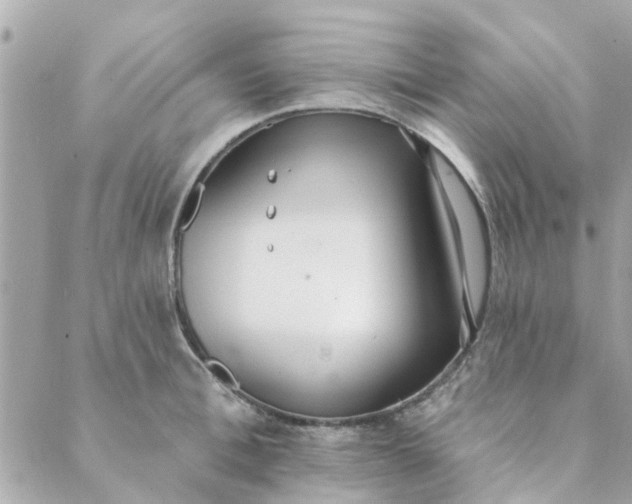 X0000089420996200706291028