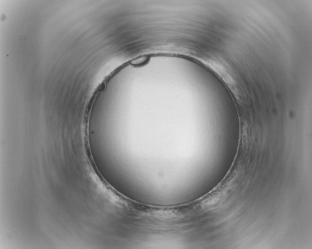 X0000089420998200706291028