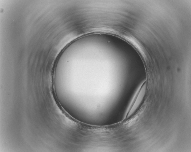 X0000089420999200706291028