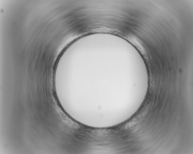 X0000089421000200706291028