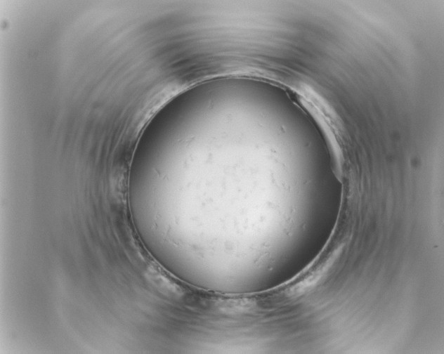 X0000089421001200706291028