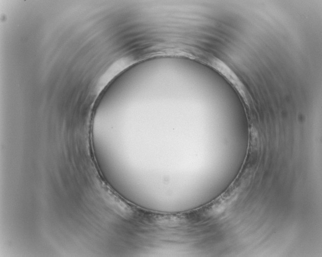 X0000089421002200706291028