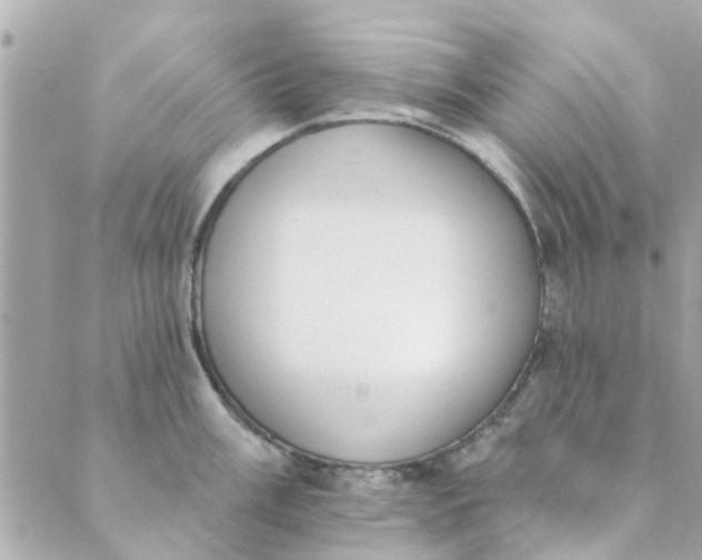 X0000089421003200706291028