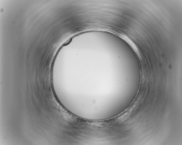 X0000089421004200706291028