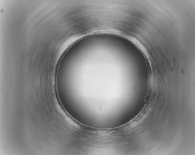 X0000089421005200706291028