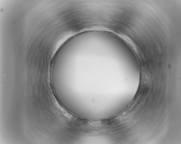 X0000089421006200706291028