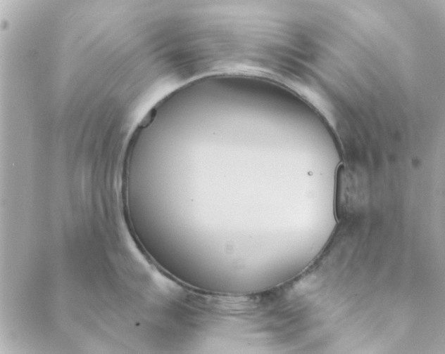 X0000089421007200706291028