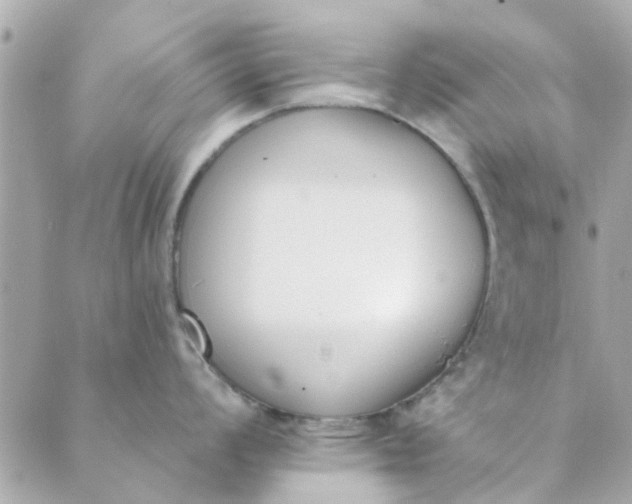 X0000089421008200706291028