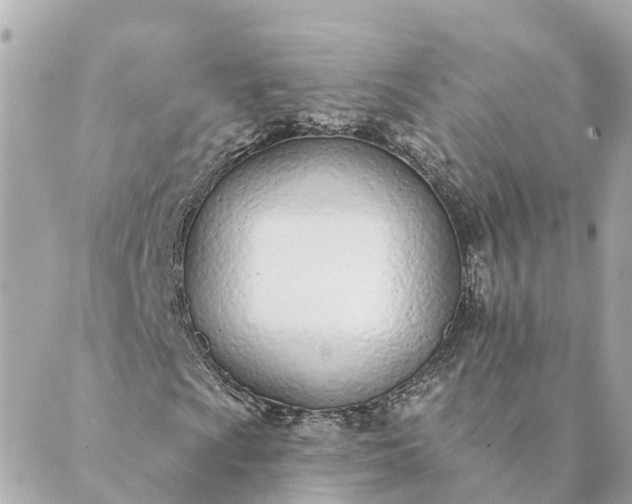 X0000089421009200706291027