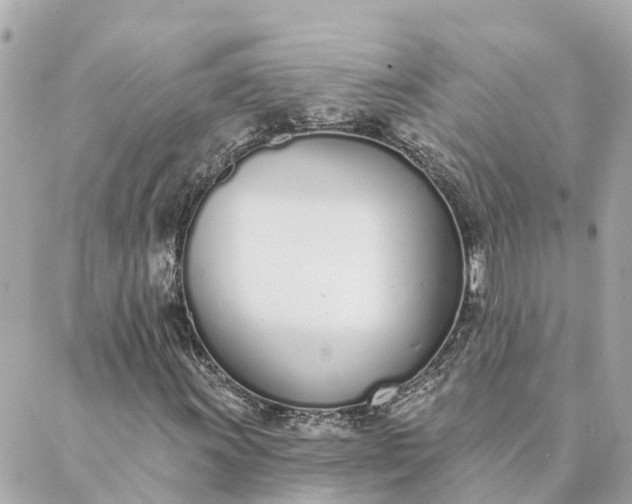 X0000089421011200706291027