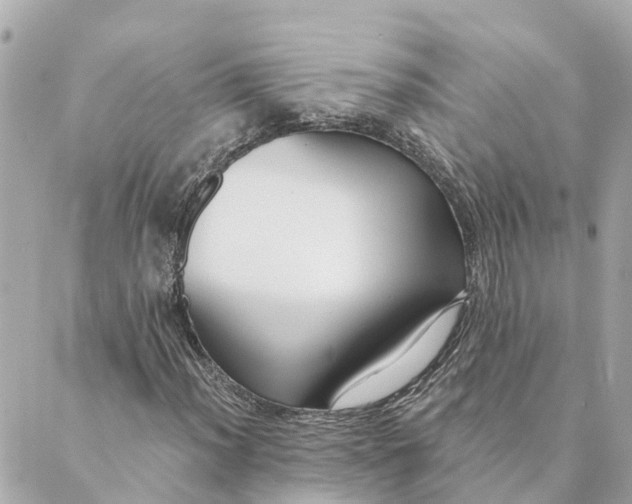 X0000089421012200706291027