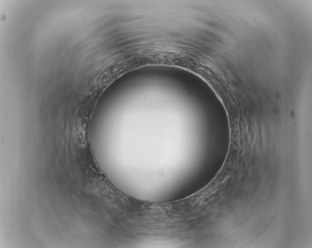 X0000089421013200706291027