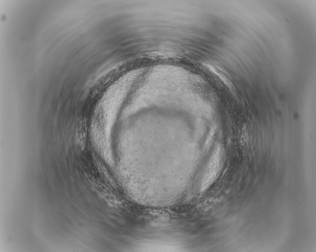 X0000089421015200706291027