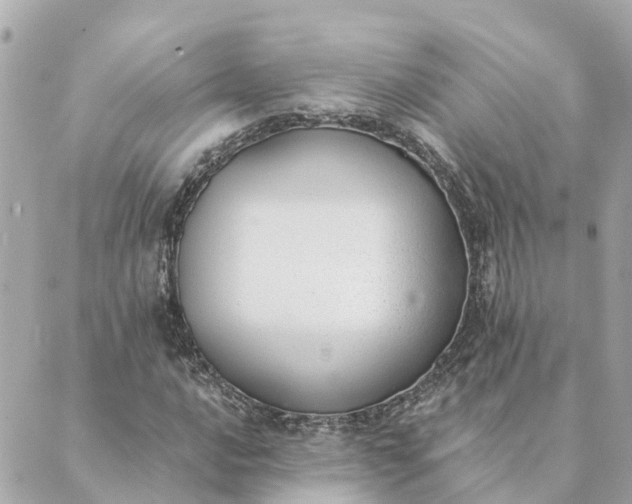 X0000089421016200706291027