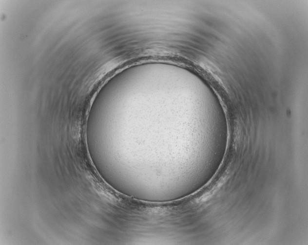 X0000089421017200706291027