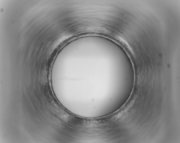 X0000089421019200706291027