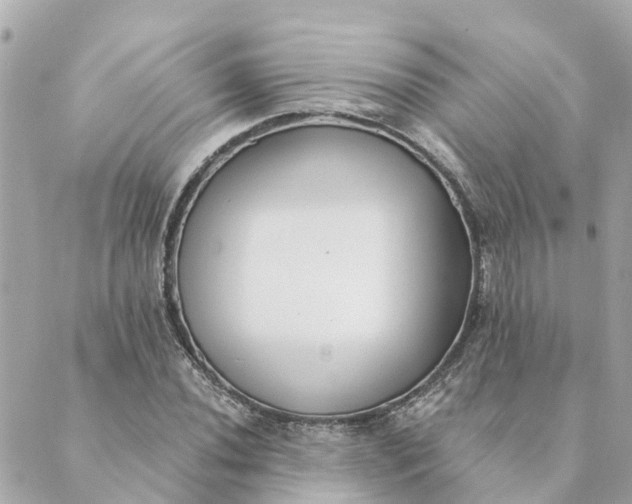 X0000089421020200706291027