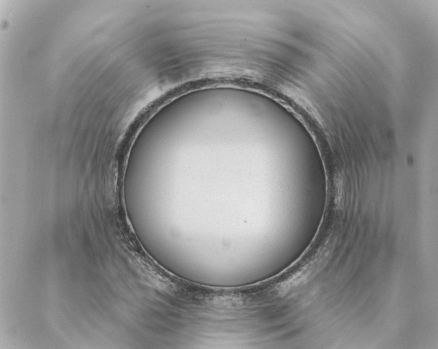 X0000089421021200706291027