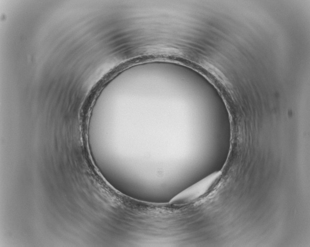 X0000089421022200706291027